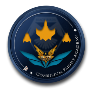 Consilium Flight Academy